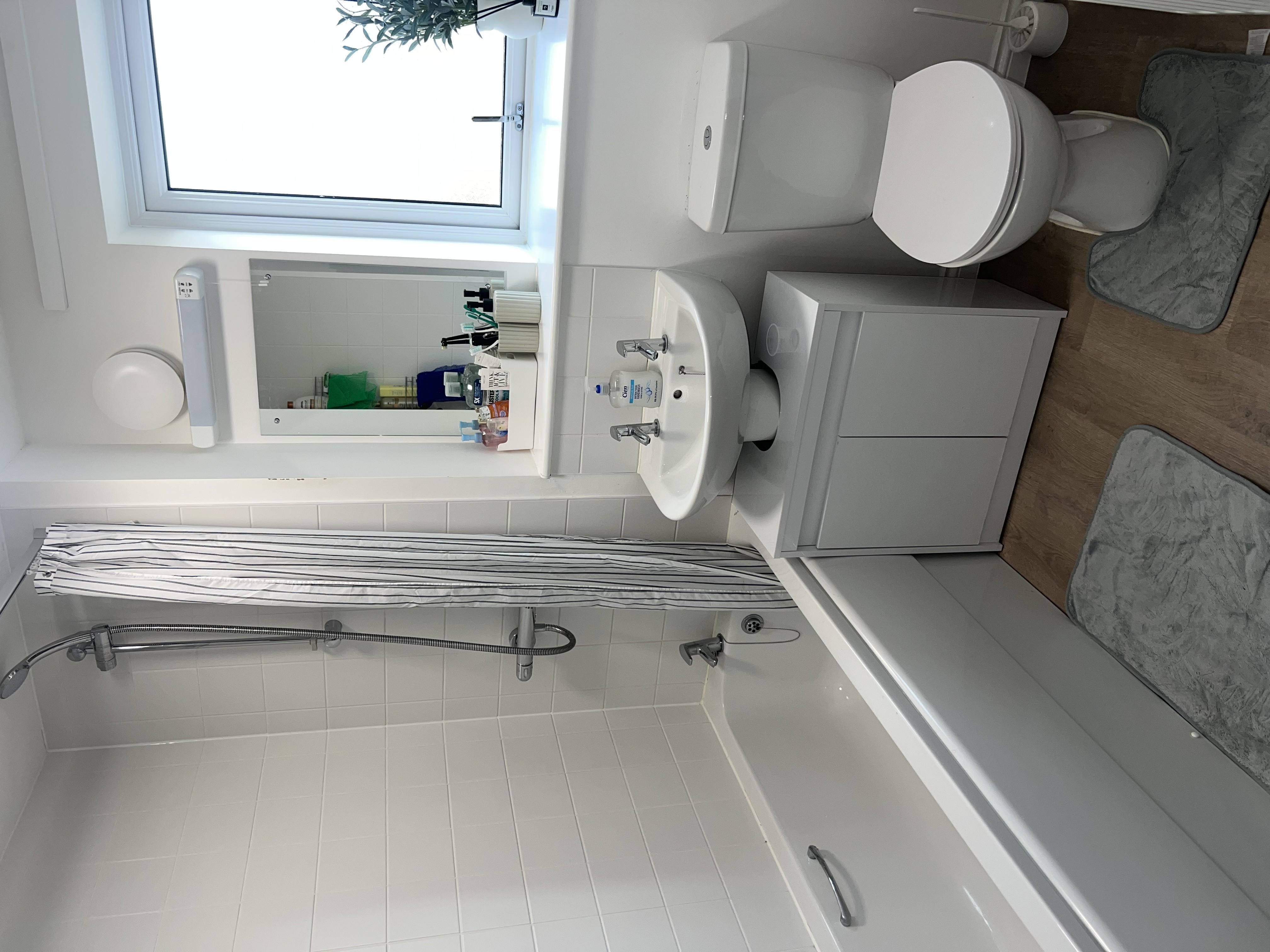Toilet after