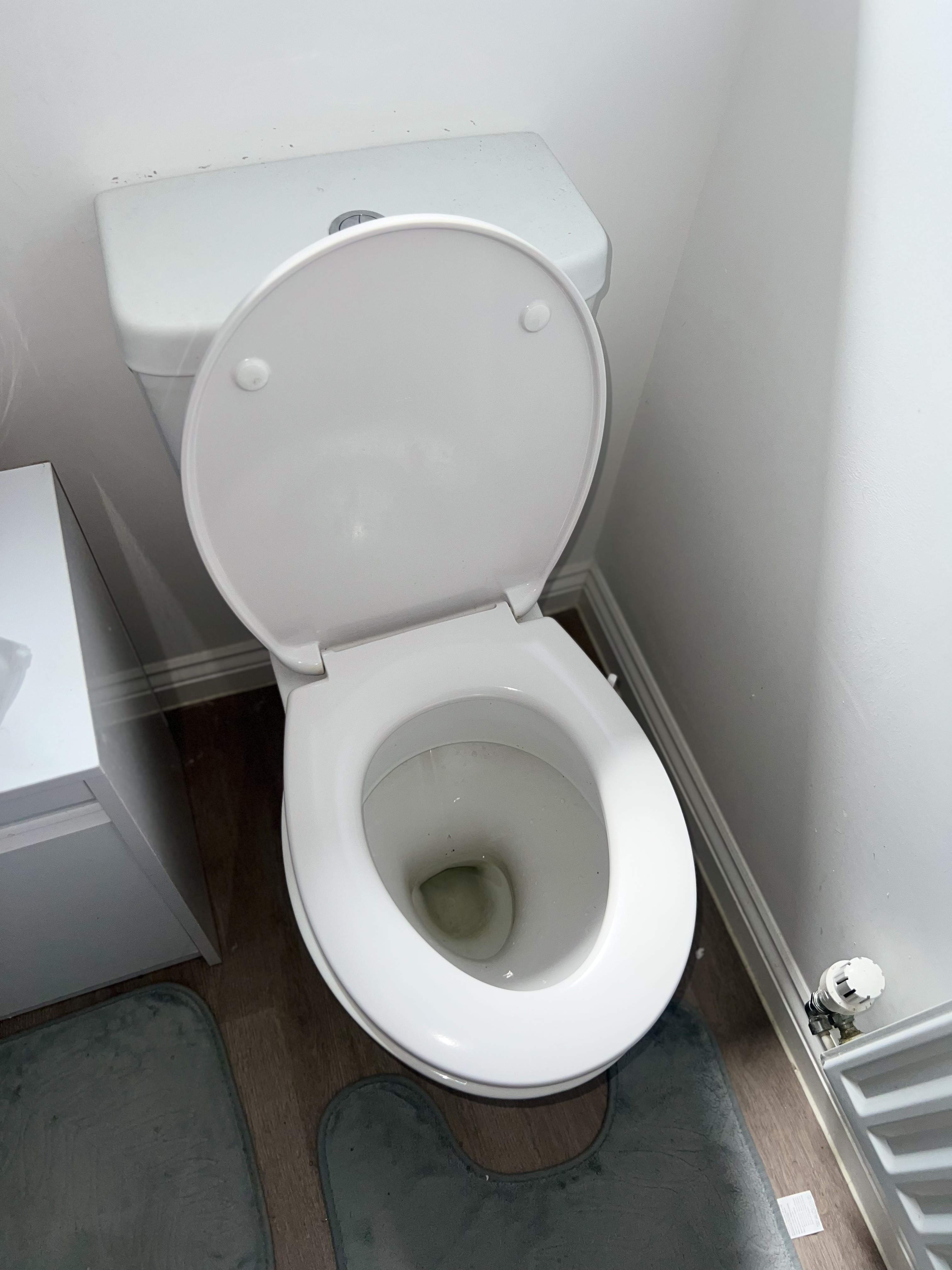 Toilet sink before